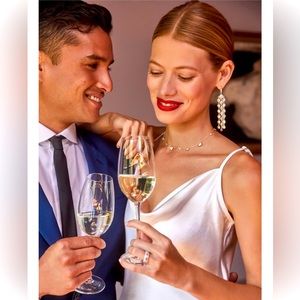 NEW in box Daya Kendra Scott Silver Statement Earrings Wedding Engagement